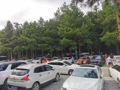 -重庆睡佛山森林公园