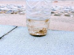 -嵊泗基湖沙滩