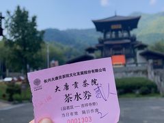 -大唐贡茶院