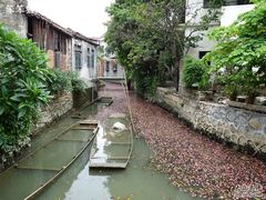 -小洲村