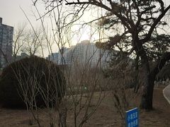 -元大都城垣遗址公园