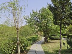 -二一九公园