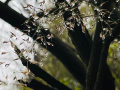 -太平万花山景区