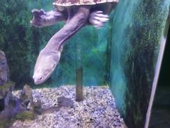 -常州海昌海洋探索馆