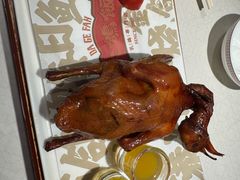-大鸽饭(岗顶店)