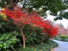 -兰溪青年公园