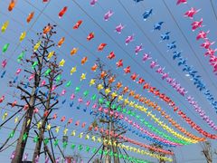 -蓝记云吞(正果店)