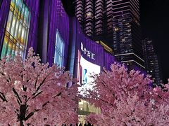 -金茂览秀城