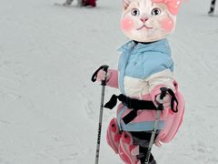 -北京西山滑雪场