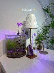 -芮悦·璀璨无创洗眉·专业洗眼线·专业洗唇