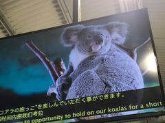 -可伦宾野生动物保护区