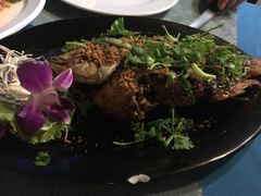 -Onion restaurant