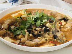 -煲来饱去冷水鱼