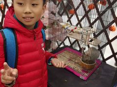 -凯德广场(学府店)