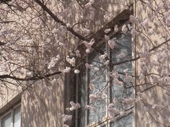 -吉林大学(南岭校区)