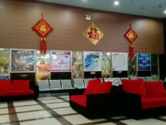 -华星国际影城