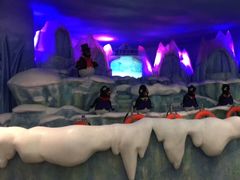 -帝企鹅自助餐厅•儿童岛•真企鹅(长隆企鹅酒店)