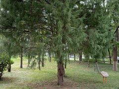 -石家庄市动物园