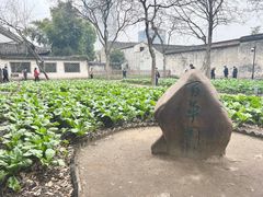 -绍兴鲁迅故里·沈园景区