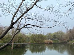 -木守西溪溪隐餐厅