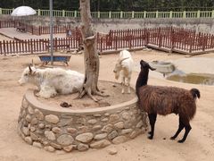 -西安秦岭野生动物园