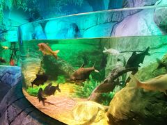 -沈阳海洋探索中心