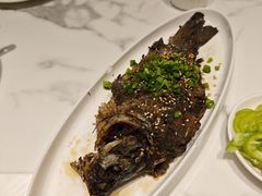 -高玛纳驴肉火烧(河间总店)