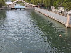 -皇家御河游(紫御湾码头)