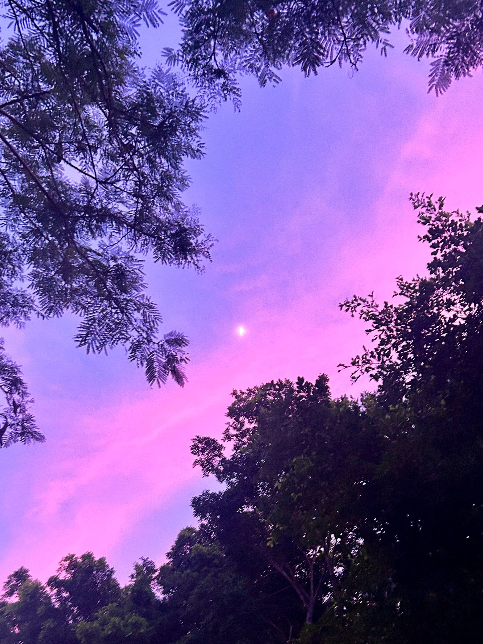 傍晚的天空色彩斑斓