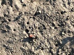 -北海金海湾红树林生态旅游区