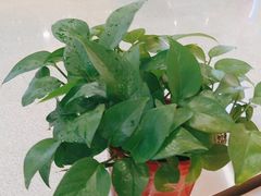 -杨翔豆皮涮牛肚(华阳城店)