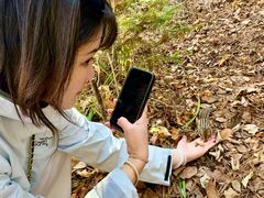 -五营红松林海景区