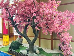 -汤泉良子(马连道店)