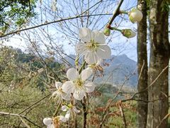 -福建天门山