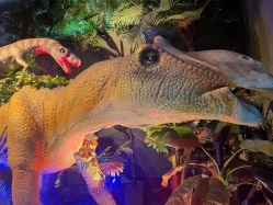 -恐龙探索乐园(磁器口店)