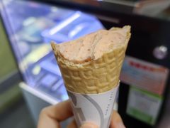 -野人先生现做冰淇淋(北京顺义祥云小镇店)