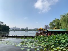 -济南大明湖景区