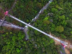 -九龙江国家森林公园