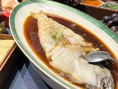 -金狮麟·新豫菜(金码大厦店)