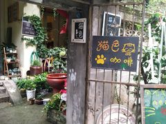 -猫色咖啡·猫咖
