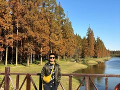 -黄海国家森林公园