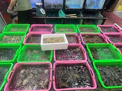 -众味海鲜大排档·活海鲜·潮汕味(南澳店)
