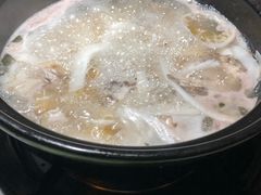 -探窝·竹笙椰子鸡(杨箕店)