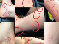 -四川江油戴斯大酒店