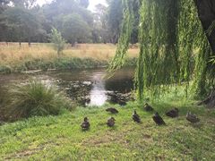 -Pedro's House of Lamb(基督城)