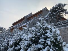 -北京凤凰岭