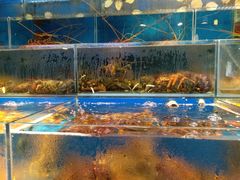 -岳各庄批发市场(西四环中路店)