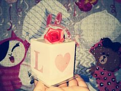 -好利来(革新店)