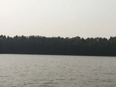 -上海海湾国家森林公园