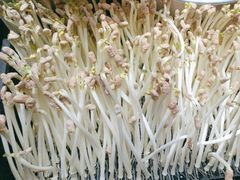 -王婆炒鱼(总店)